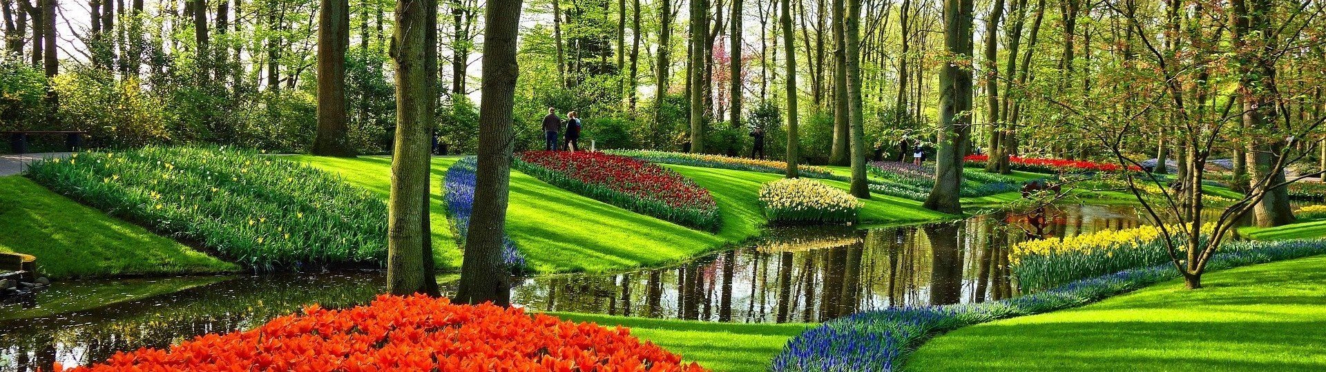 Keukenhof 2