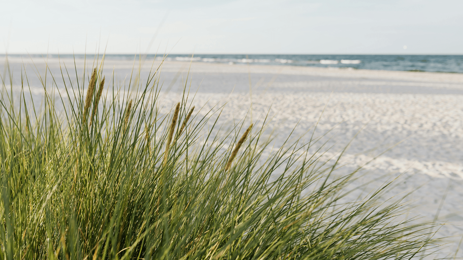 Accès à la plage Karel Doornmanweg