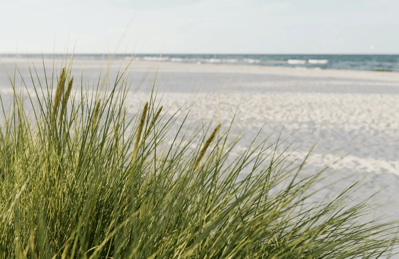 Accès à la plage Karel Doornmanweg